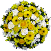 Posy in Yellow and White