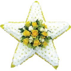 Star Tribute in Yellow