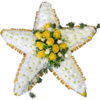 Star Tribute in Yellow with Ivy